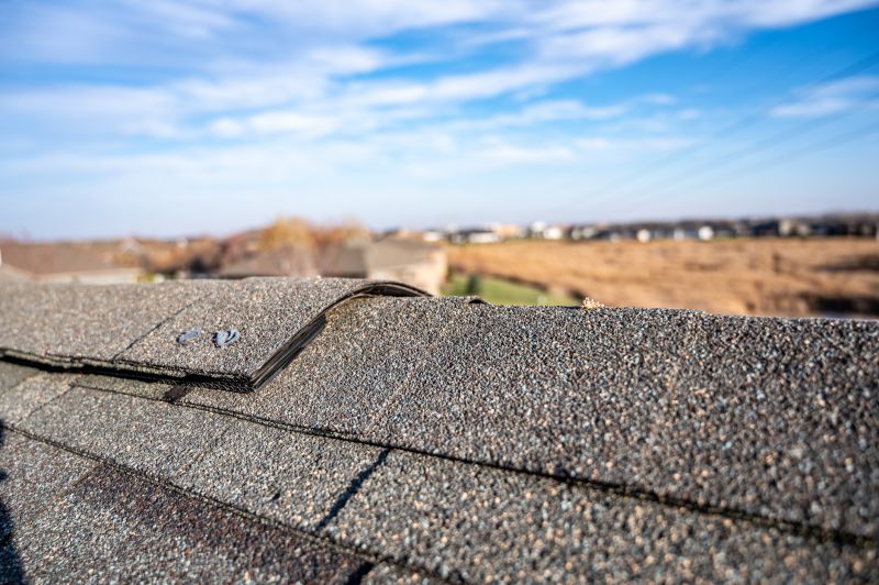 Asphalt Shingles Repair