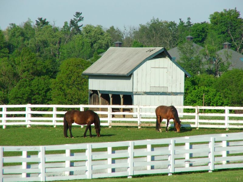 Horse Stable Roof Installation